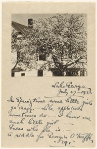 [Æbleblomster] af Alfred Stieglitz