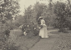 På Oaklawn af Alfred Stieglitz