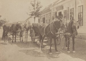Foran kroen af Alfred Stieglitz