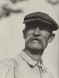 Bliv af Alfred Stieglitz