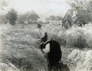 Tidlig morgen af Alfred Stieglitz