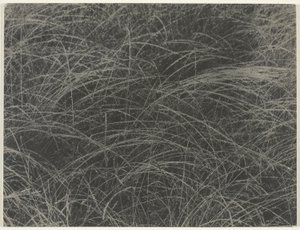 Tilsvarende af Alfred Stieglitz