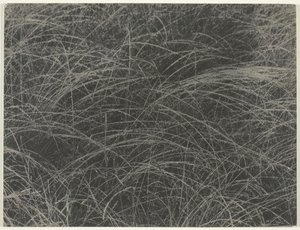 Tilsvarende, 1927. af Alfred Stieglitz