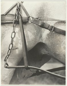 Tilsvarende, Spirituelt Amerika af Alfred Stieglitz
