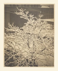 Fra bagvinduet i nr. 291 af Alfred Stieglitz