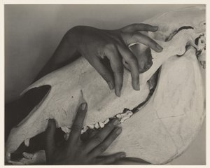  af Alfred Stieglitz