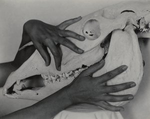  af Alfred Stieglitz