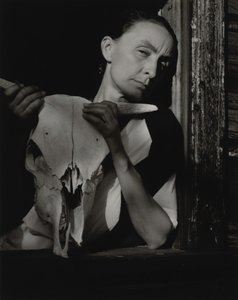 Georgia O’Keeffe af Alfred Stieglitz