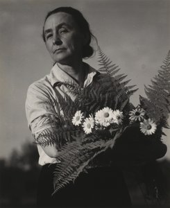 Georgia O’Keeffe af Alfred Stieglitz
