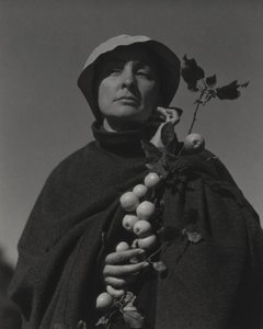  af Alfred Stieglitz