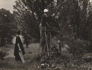  af Alfred Stieglitz