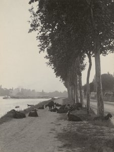  af Alfred Stieglitz