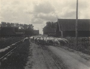  af Alfred Stieglitz