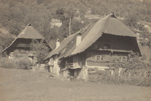 Gutach-husene af Alfred Stieglitz