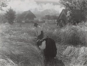  af Alfred Stieglitz
