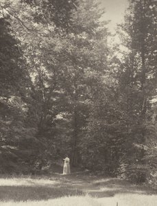  af Alfred Stieglitz