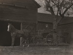 Hest og vogn af Alfred Stieglitz