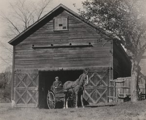  af Alfred Stieglitz