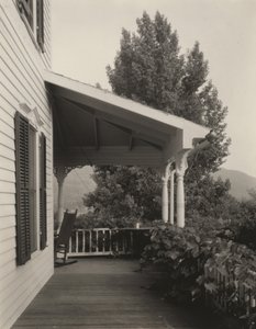 Hus, blade og træ af Alfred Stieglitz