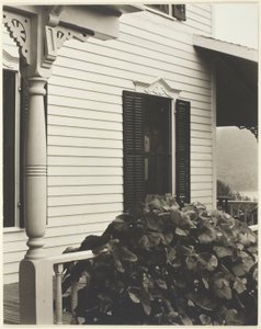 Hus og drueblade af Alfred Stieglitz