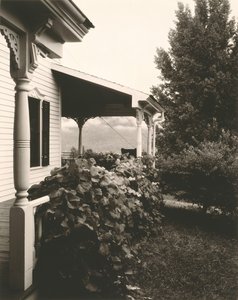 Hus og drueblade, 1934. af Alfred Stieglitz