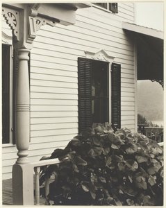 Hus og drueblade, 1934. af Alfred Stieglitz