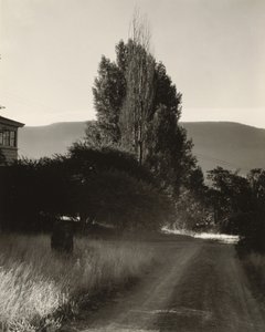 af Alfred Stieglitz