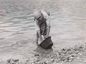  af Alfred Stieglitz