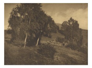 [Landskab, Tyrol] af Alfred Stieglitz