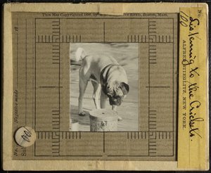 At lytte til Crickets, ca. 1900. af Alfred Stieglitz