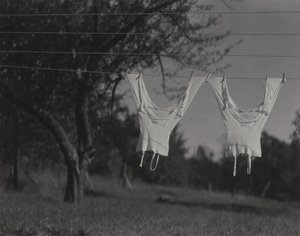  af Alfred Stieglitz
