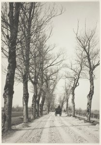 november dage af Alfred Stieglitz