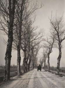 Novemberdage af Alfred Stieglitz