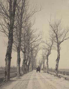  af Alfred Stieglitz