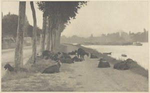 På Seinen - nær Paris, 1894, trykt 1897. af Alfred Stieglitz
