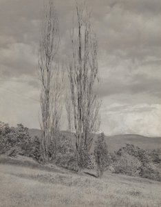 af Alfred Stieglitz