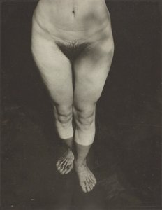 Rebecca Salsbury Strand, 1922. af Alfred Stieglitz