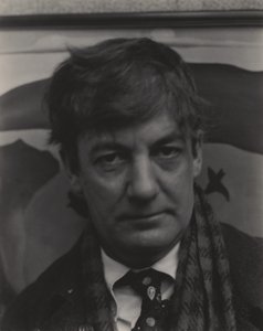 Sherwood Anderson af Alfred Stieglitz
