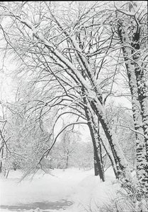 Snowscape, Berlin, 188892. af Alfred Stieglitz
