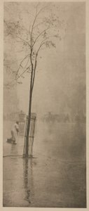 Forårsbyger af Alfred Stieglitz