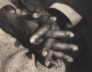 Herren over fuldkommenheden af Alfred Stieglitz