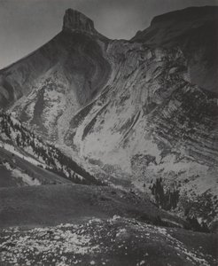  af Alfred Stieglitz