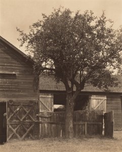  af Alfred Stieglitz