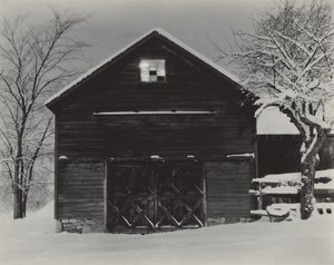 Den sorte lade og den hvide sne af Alfred Stieglitz