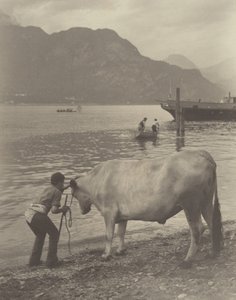 Det ufrivillige bad af Alfred Stieglitz