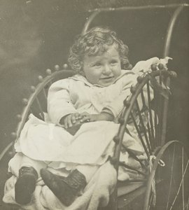 Uden titel Howard Schubart in Carriage, 1893. af Alfred Stieglitz