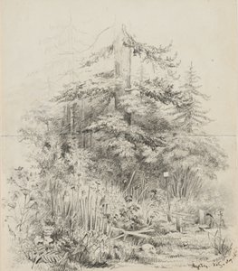 Indianergravsted, Oregon, 1841 (grafit på to falsede skitsebogsark af cremefarvet vævet papir) af Alfred Thomas Agate