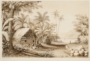 Gravene på Muthuata Island, Fiji (wc på papir) af Alfred Thomas Agate