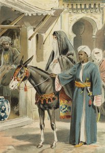 Arabian Nights: Historien om Aboulhassan og Schemselnihar