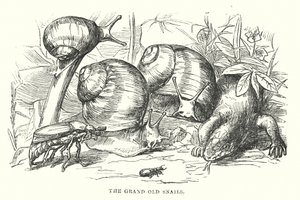 H.C. Andersen: Den lykkelige familie (litografi) af Alfred Walter (after) Bayes